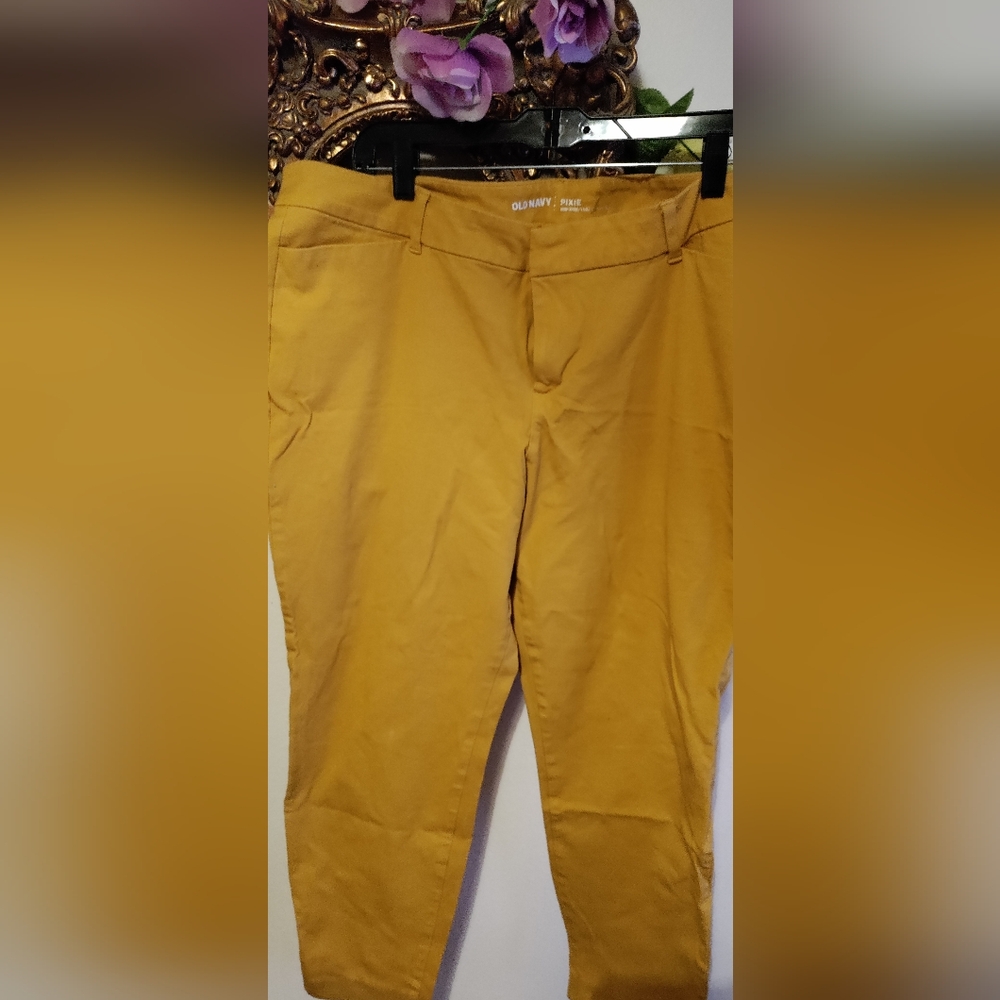 Old Navy pixie pants size 18